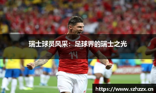 瑞士球员风采：足球界的瑞士之光